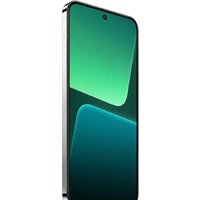 Xiaomi 13 Pro 12GB/256GB международная версия (светло-зеленый) Image #4