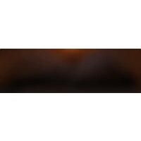 Blackview BL8800 Pro (оранжевый) Image #2