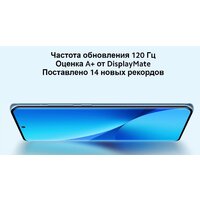 Xiaomi 12X 8GB/256GB международная версия (синий) Image #13