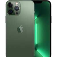 Apple iPhone 13 Pro Max 1TB (альпийский зеленый)