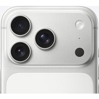 Apple iPhone 17 Pro Dual eSim 256GB (серебристый) Image #4