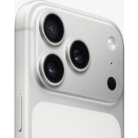 Apple iPhone 17 Pro Dual SIM 256GB (серебристый) Image #3